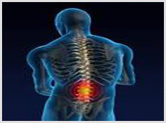 chiropractor back bone image